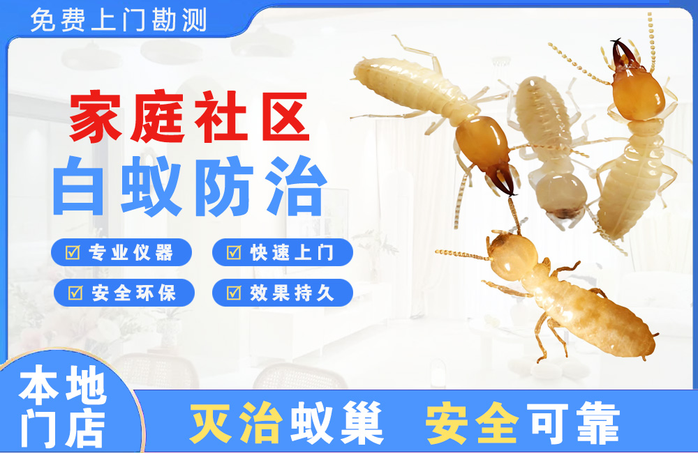 定安家庭社区白蚁防治