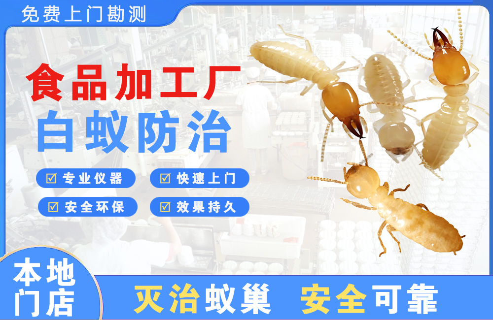 定安食品加工厂白蚁防治