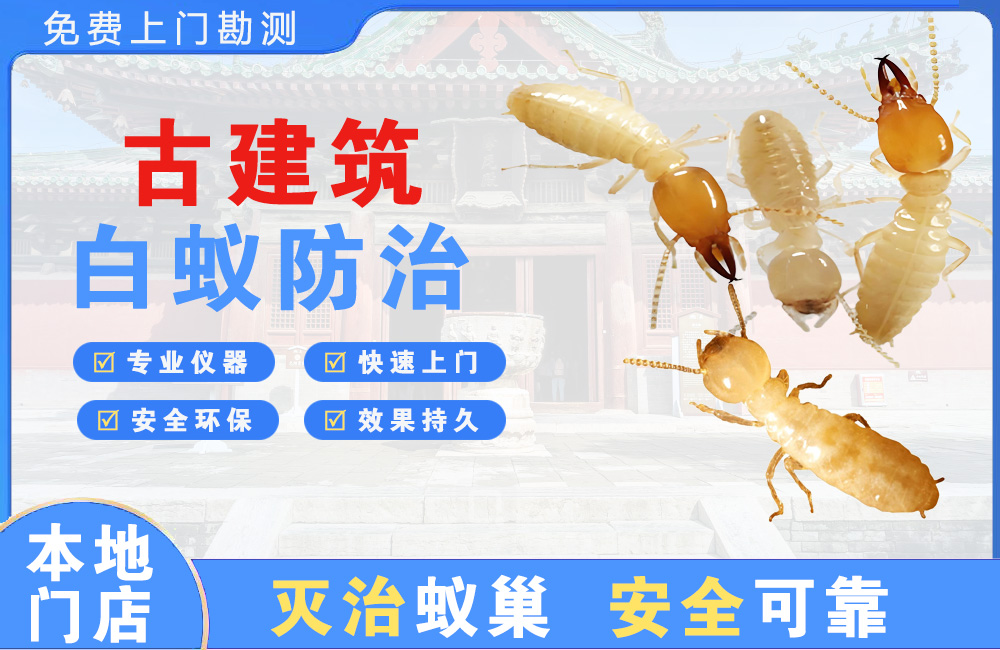 定安古建筑白蚁防治